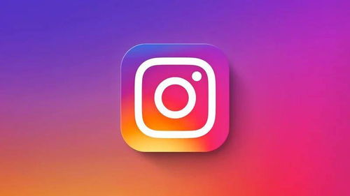 如何快速增加instagram粉丝?
