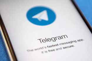 Telegram会员代充值代付 12个月
